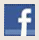 Ic&ocirc;ne Facebook