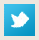 Ic&ocirc;ne Twitter