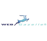 création de site Internet de qualité à budget maitrisé - WebGazelle.net