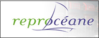 Reproceane - vente et maintenance de matériel de copies/impressions Reproceane - vente et maintenance de matériel de copies/impressions