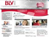 BLV Consuting - GRH en Bretagne