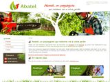 Abbatage d'arbre à Crozon (Finistère)