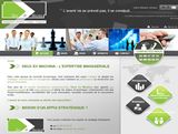 Deus Ex Machina, consulting en management d'entreprises