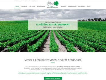 pépiniériste viticole, production de vigne, création de vignoble pépiniériste viticole, production de vigne, création de vignoble