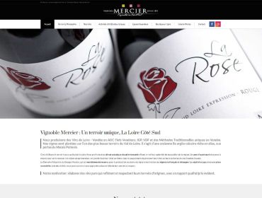 Vignoble, Vin Vignoble, Vin